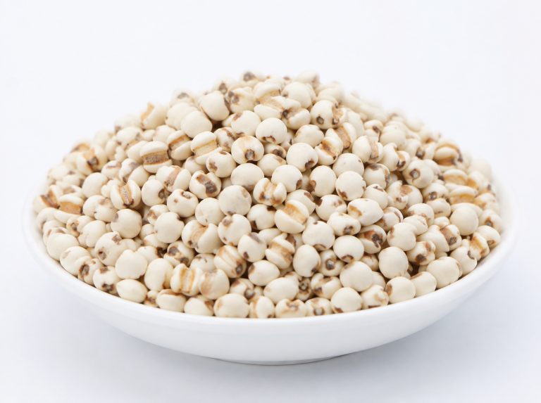 沈阳食品加工用薏仁碎米